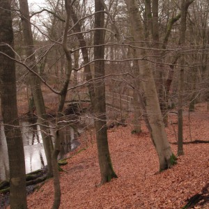 Im Sachsenwald - Das Plätschern des Wassers beruhigt