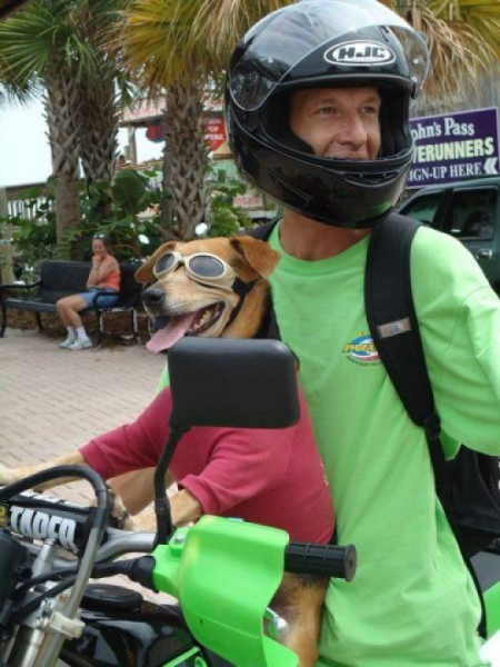 Motorrad Hund.png