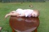 baby-planking.jpg
