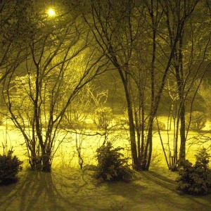 Schneelandschaft bei Nacht