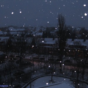 Winter ✽`.die Schneeflocken`.`.`✽`.✽.`.`.