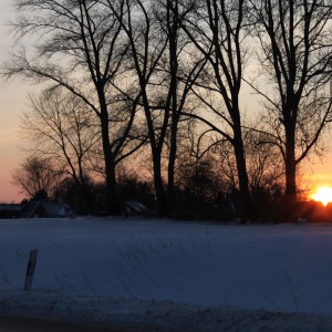 Winter 2010,Sonnenuntergang