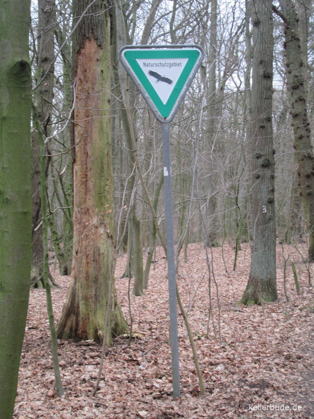 Sachsenwald - Natur und Erholung