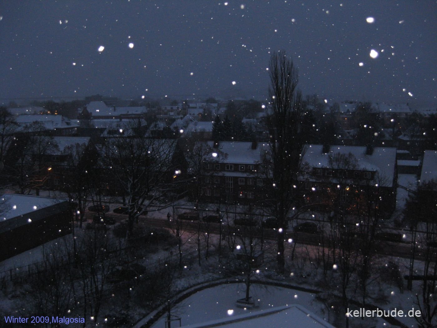 Winter ✽`.die Schneeflocken`.`.`✽`.✽.`.`.